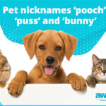 QA pet nicknames pooch puss and bunny